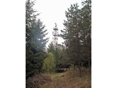 Foto 60